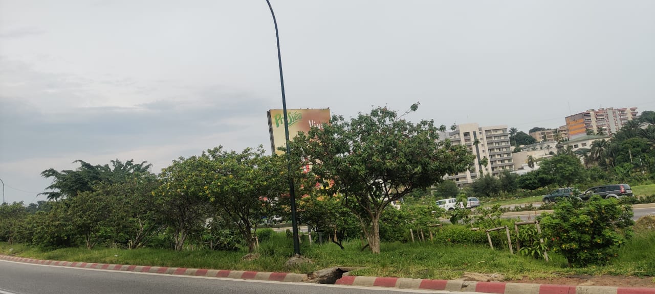 Green Space, Abidjan